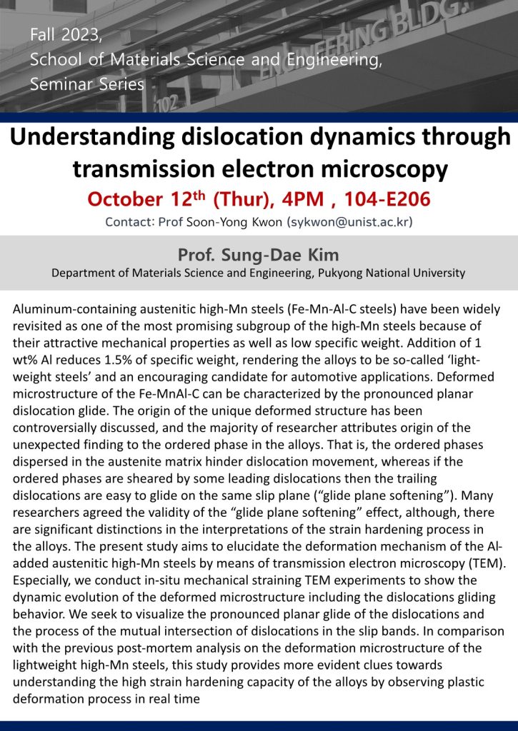 Understanding dislocation dynamics through transmission electron microscopy