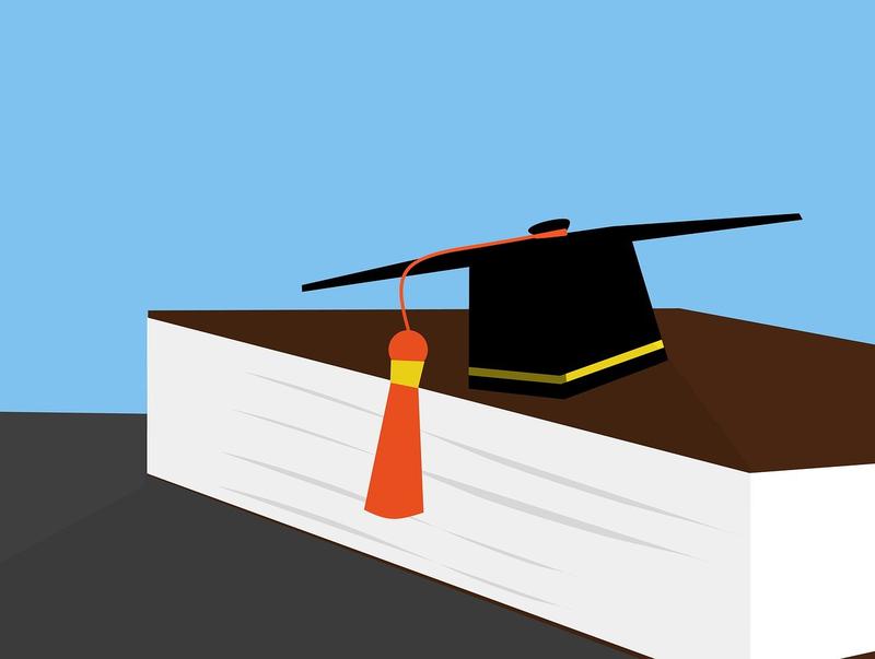 [기고]과기원 총장선출에 대한 단상: 광주 대구 울산의 묘한 비대칭관계