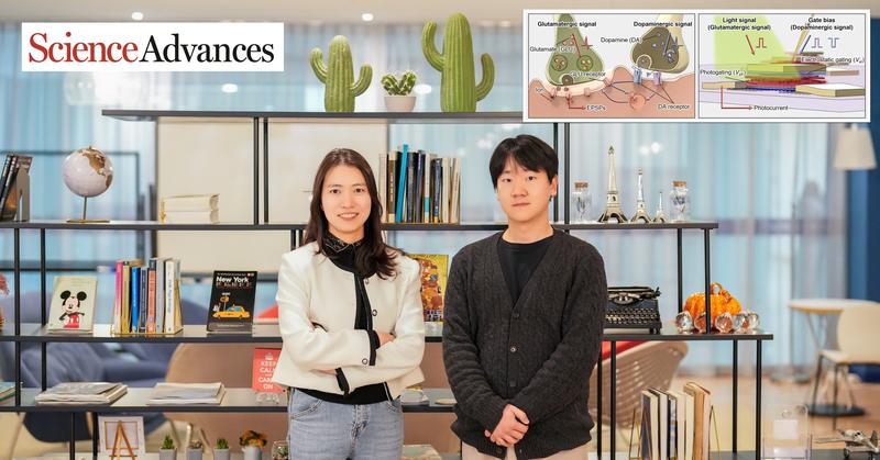 사람 뇌 신경 전달 원리 닮은 로봇 비전 센서 개발