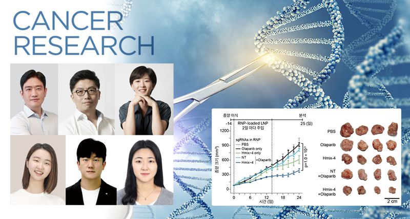 DNA에 가위질 덜 하고도 암세포 죽인다!... 부작용↓ 유전자 가위 항암 기술 개발