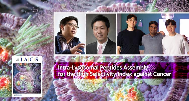 Intra-Lysosomal Peptide Assembly for the High Selectivity Index against Cancer